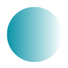 CXO Icon-1